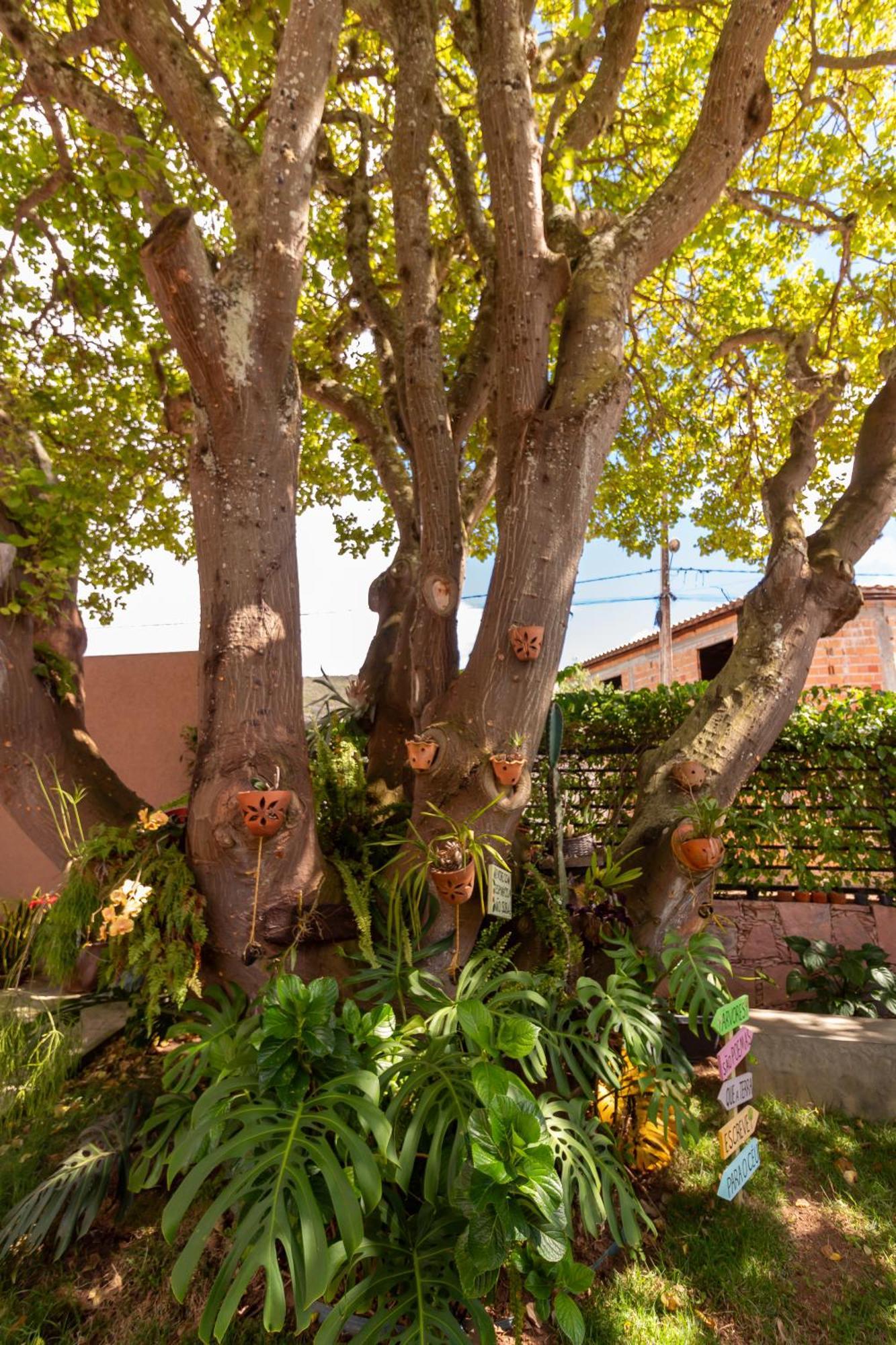 Villa Matilde Mucugê Exteriér fotografie